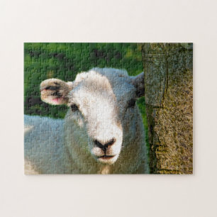 PUZZLE SHEEP