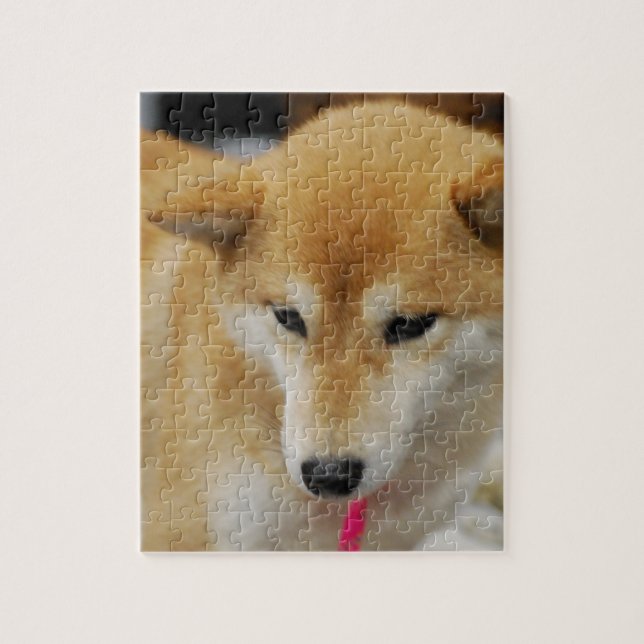 Puzzle Shiba mignon Inu (Vertical)
