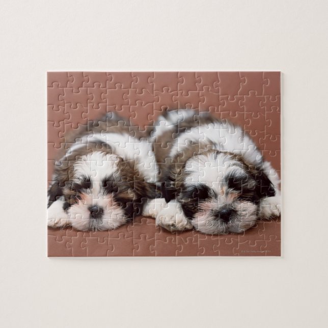 Puzzle Shih Tzu (Horizontal)