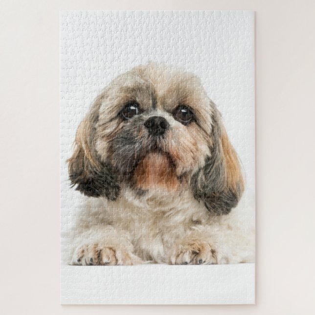 Puzzle Shih Tzu Photo de chien animal de compagnie (Vertical)