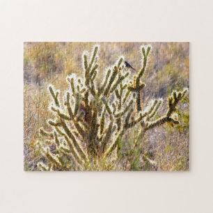 Puzzle Shimmer Cactus Nevada.