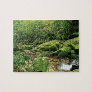 Puzzle Shiratani Unsuikyo, Yakushima, Kagoshima, Japon