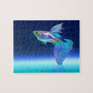 Puzzle Siamais combattant le poisson