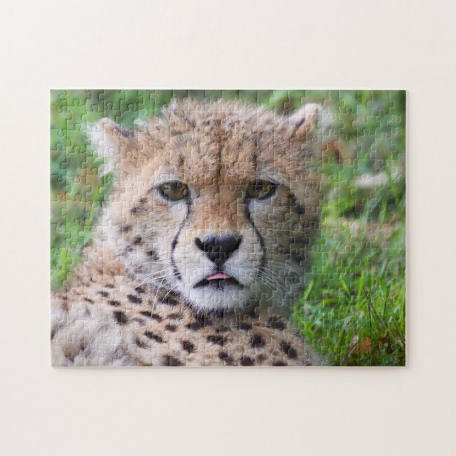 Puzzle Silencieux Cheetah Cub (Horizontal)