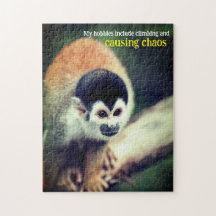 Singe écureuil dans l'arbre