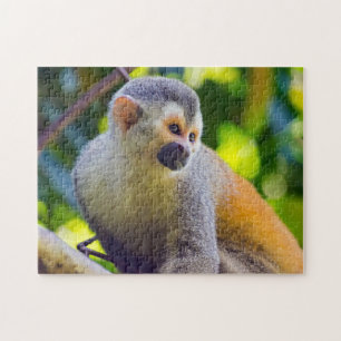 Puzzle Singe écureuil dans le parc national Manuel Antoni