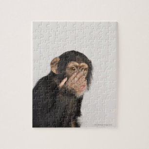 Puzzle Singe frottant son visage