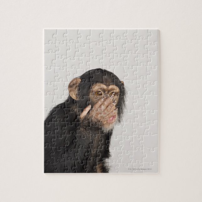 Puzzle Singe frottant son visage (Vertical)