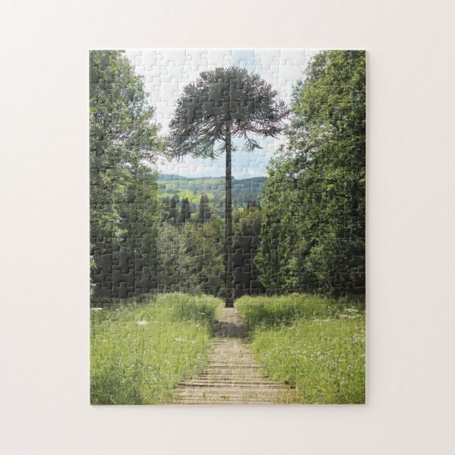 Puzzle Singe-puzzle (Vertical)