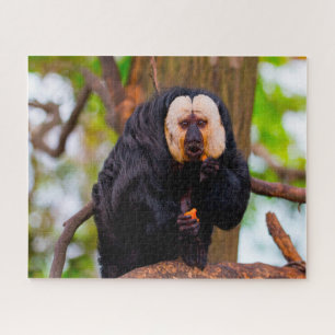 Puzzle Singes Saki.