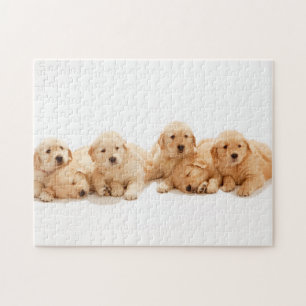 Puzzle Six Marionnettes Golden Retriever