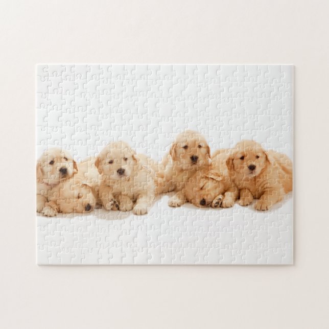 Puzzle Six Marionnettes Golden Retriever (Horizontal)