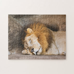 Puzzle Sleepy Dream Lion adulte sur les rochers