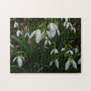 Puzzle Snowdrops I
