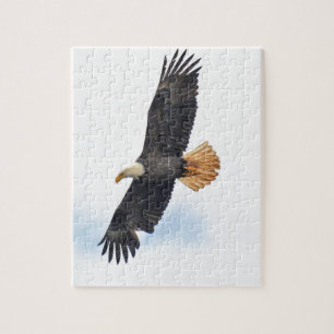 Puzzle Soaring Bald Eagle Wildife Photo Art