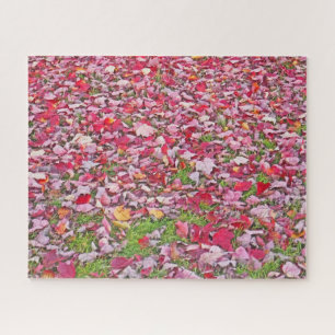 PUZZLE SOL COUVERT DE FEUILLES/AUTOMNE FEUILLES ROUGES SU