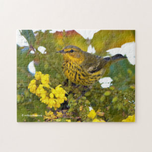Puzzle Songbird de Paruline du Cap-Mai avec Mahonia à fle