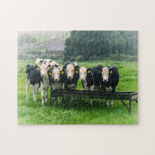 Puzzle Souriez s'il vous plaît ! Vaches mignonnes