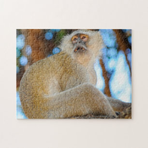 Puzzle Sourire. Singe velours Botswana.