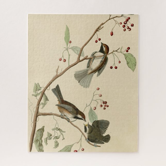 Puzzle Souris canadien de Audubon's Birds of America (Vertical)