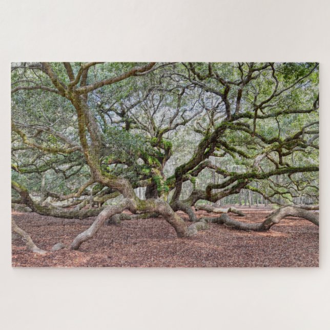 Puzzle Sous Angel Oak, Caroline du Sud (Horizontal)