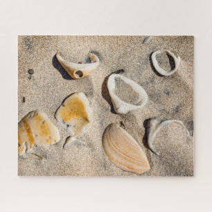 Puzzle South Padre Island, sable et coquillages