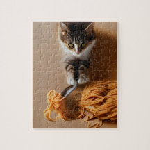 Spaghetti mangeur de chats