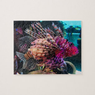 Puzzle Spectaculaire poisson-lion