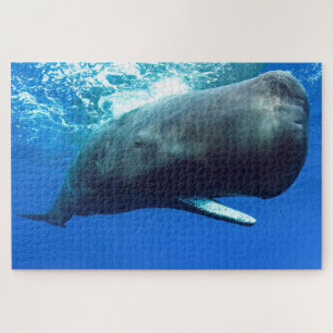Puzzle Sperm Whale