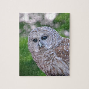 Puzzle Spirit Of The Owl