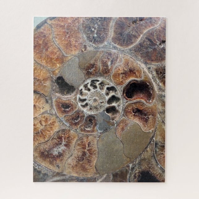 Puzzle Sprial Shell Fossil (Vertical)