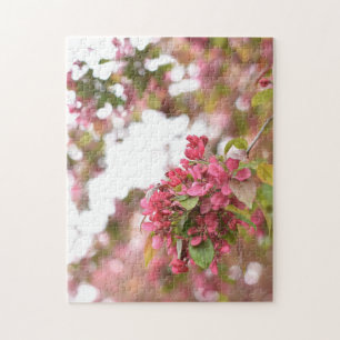 Puzzle Spring Flowers Regent's Park London Royaume-Uni