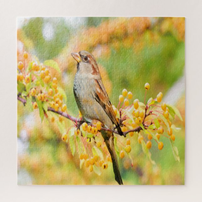 Puzzle Spring time Sparrow (Vertical)