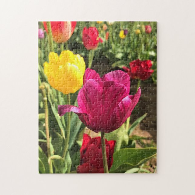 Puzzle Spring tulips, Oregon (Vertical)