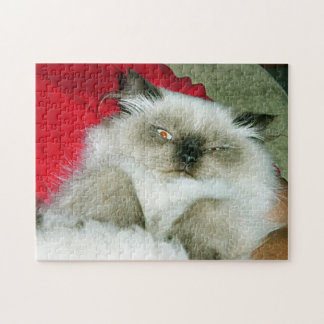 Puzzle Squinty Himmy