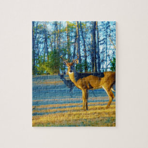 Puzzle Stade / Buck Deer, Ciel bleu clair