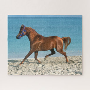 Puzzle Staline arabe châtaignier courir sur la plage