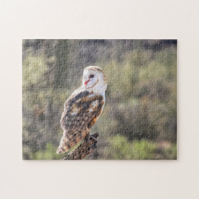 Puzzle: Stallhuhn 1 (Horizontal)