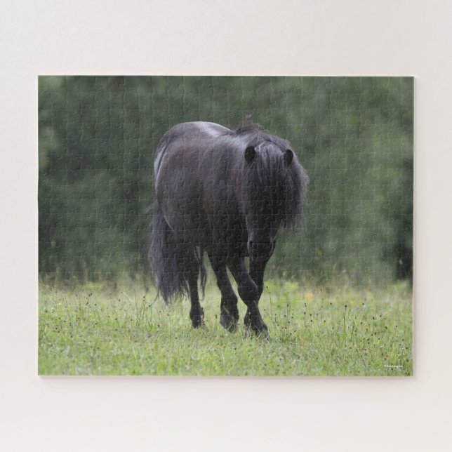 Puzzle Stallion noir de Shetland Pony marchant (Horizontal)