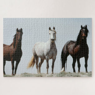Puzzle Stallions sauvages
