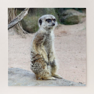 Puzzle stand de meerkat
