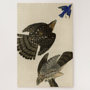Puzzle Stanley (Cooper's) Hawk Audubon's Birds of America