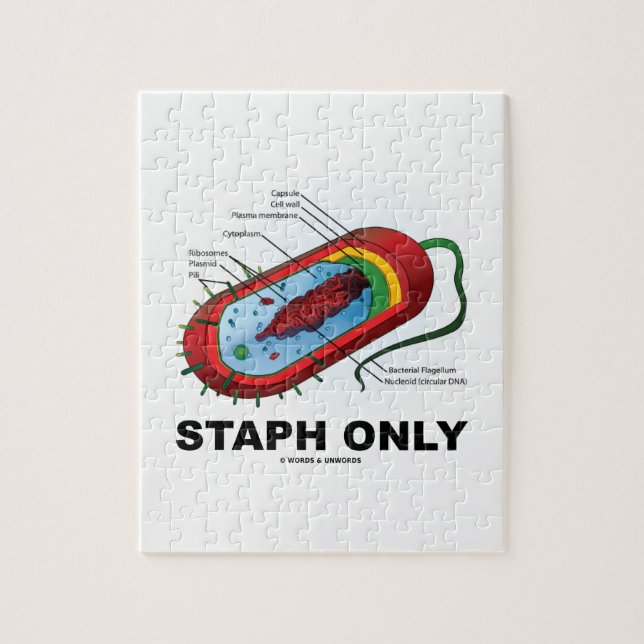 Puzzle Staph seulement (Bacterium Diagram Prokaryote Bact (Vertical)