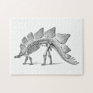 Puzzle Stegosaurus Dinosaure Squelette Fossile