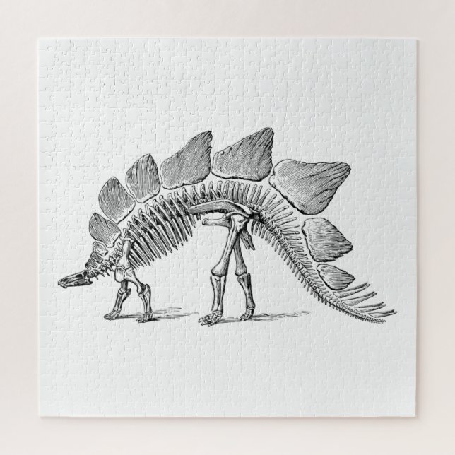 Puzzle Stegosaurus Dinosaure Squelette Fossile (Vertical)
