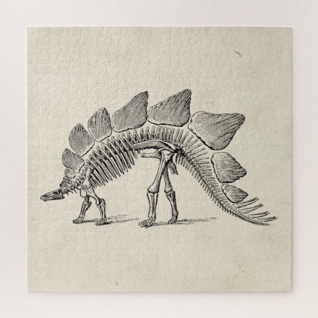 Puzzle Stegosaurus Dinosaure Squelette Fossile (Vertical)