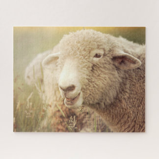 Puzzle Stewie Jigsaw