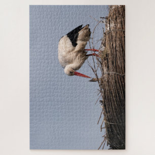 Puzzle Stork (rivière)