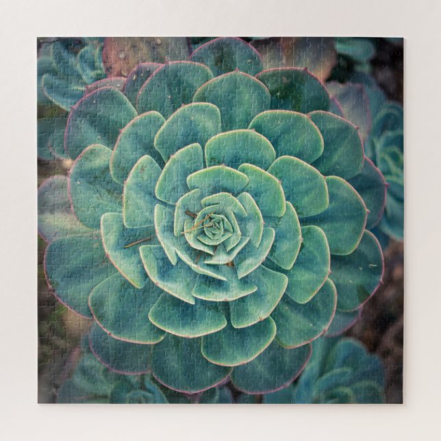 Puzzle Succulent en gros plan (Vertical)