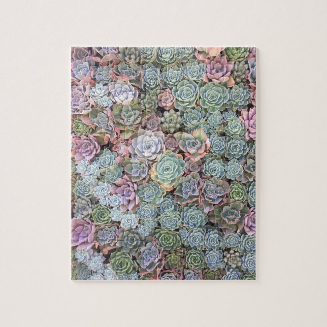 Puzzle succulent en pastel de jardin (Vertical)